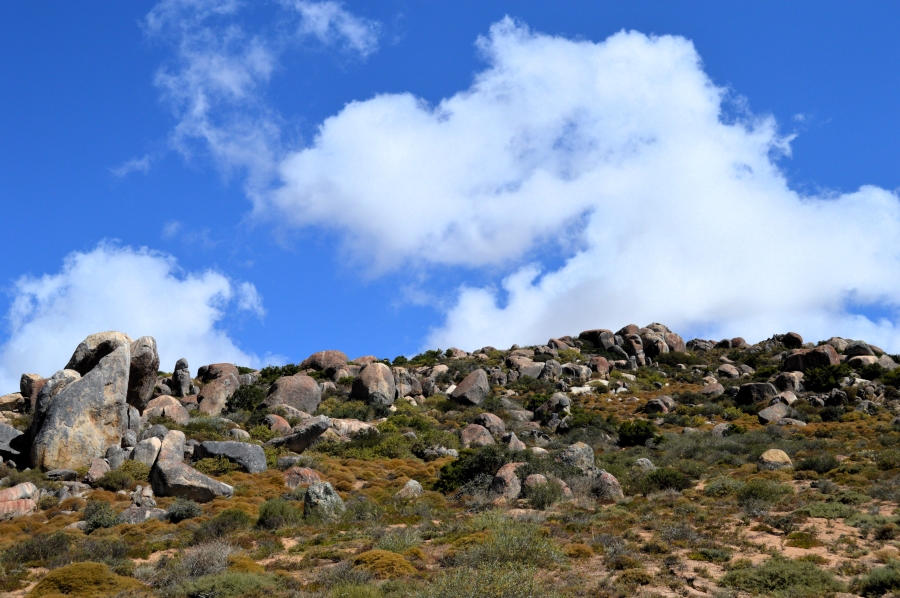 0 Bedroom Property for Sale in St Helena Views Western Cape